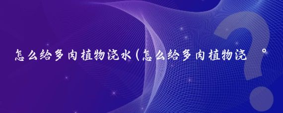 怎么给多肉植物浇水(怎么给多肉植物浇水视频)