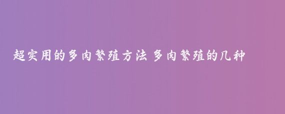 超实用的多肉繁殖方法 多肉繁殖的几种方法