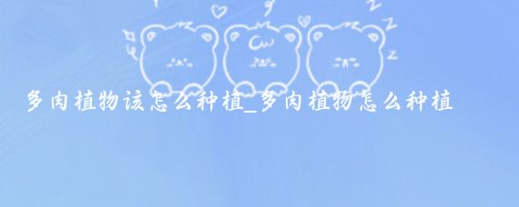 多肉植物该怎么种植_多肉植物怎么种植教程