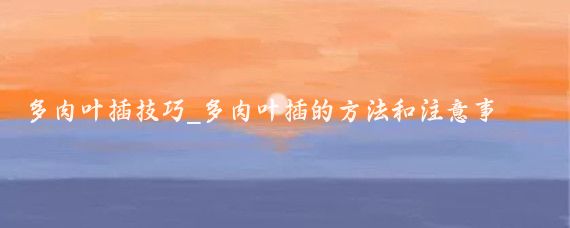 多肉叶插技巧_多肉叶插的方法和注意事项