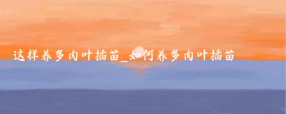 这样养多肉叶插苗_如何养多肉叶插苗