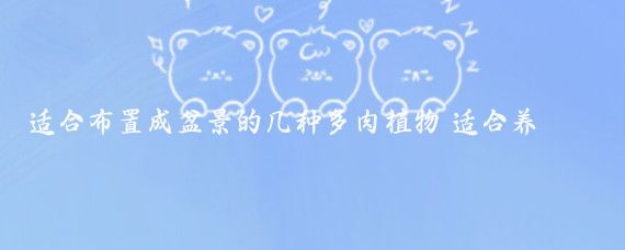 适合布置成盆景的几种多肉植物 适合养多肉的花盆有哪些