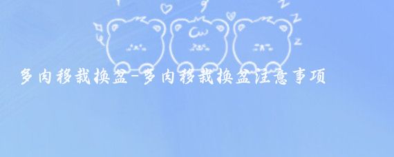 多肉移栽换盆-多肉移栽换盆注意事项