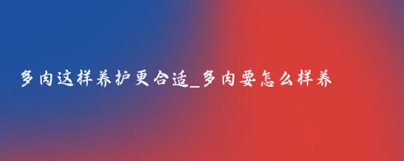 多肉这样养护更合适_多肉要怎么样养