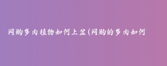 网购多肉植物如何上盆(网购的多肉如何上盆)