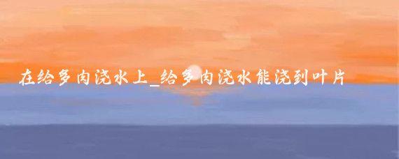 在给多肉浇水上_给多肉浇水能浇到叶片上吗