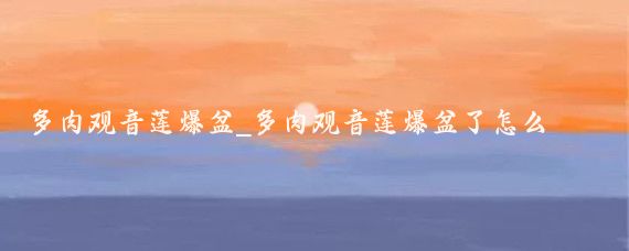 多肉观音莲爆盆_多肉观音莲爆盆了怎么换盆呢