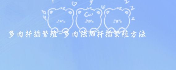 多肉扦插繁殖-多肉法师扦插繁殖方法