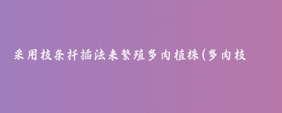 采用枝条扦插法来繁殖多肉植株(多肉枝条扦插方法视频)